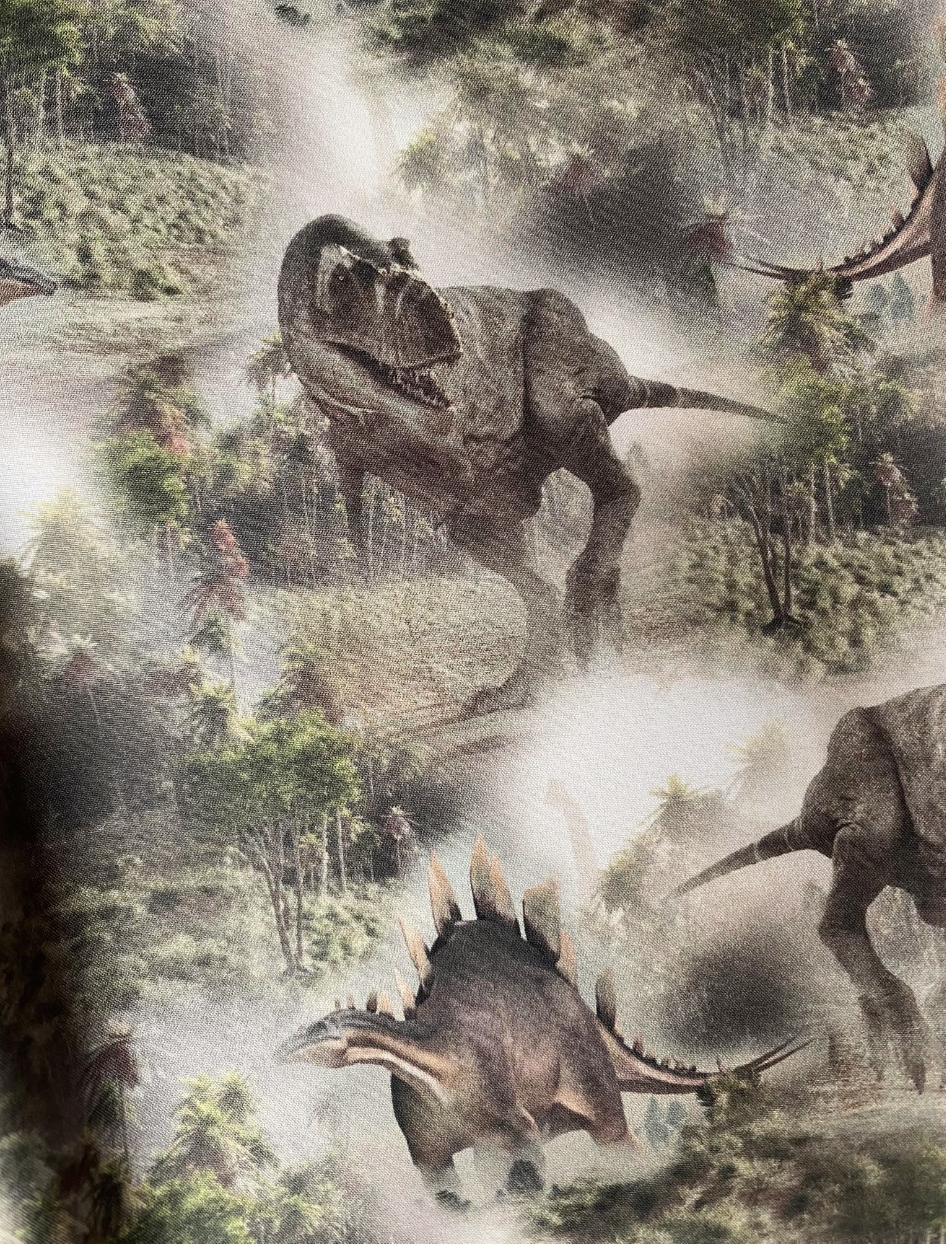 Softehellové kalhoty s fleece , vel. 116 Kombinované černé s dinosaury 