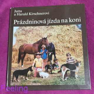 Prázdninová jízda na koni