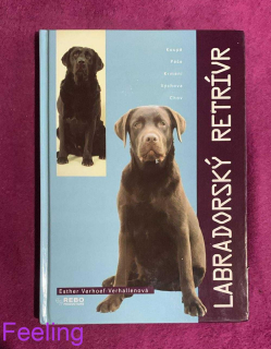 Labradorský retrívr