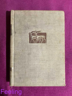 Autor: Judita Hofhanzlová Nakladatelství: Medica publishing